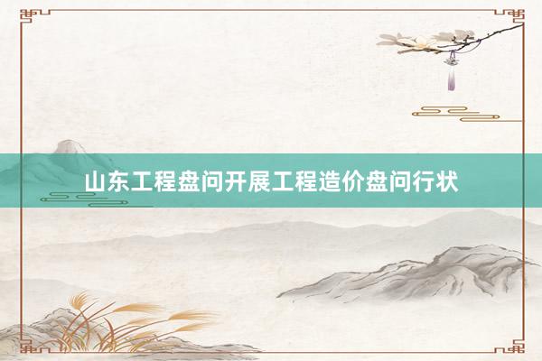 山东工程盘问开展工程造价盘问行状